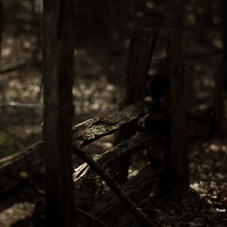 dailyPhoto20